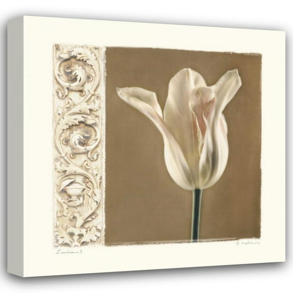 Amy Melious 15x15 Gallery Wrapped Canvas Wall Art Titled - Lumiere I