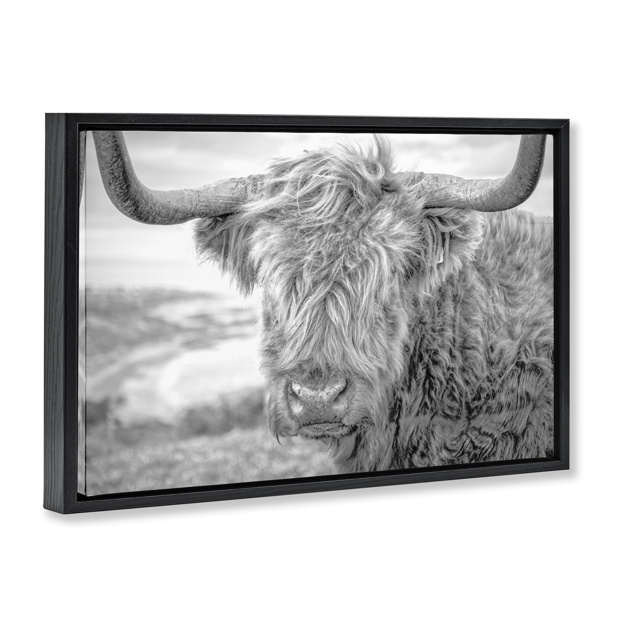 Stupell Industries Close Up Fuzzy Cattle Animals & Insects Photography Black Floater Framed Canvas Art Print Wall Art, 31 x 21