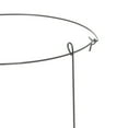 thumbnail image 5 of Panacea Products 24" Tall Collapsible Single Peony Ring / Hoop Plant Support, 0.25 lb., 5 of 6