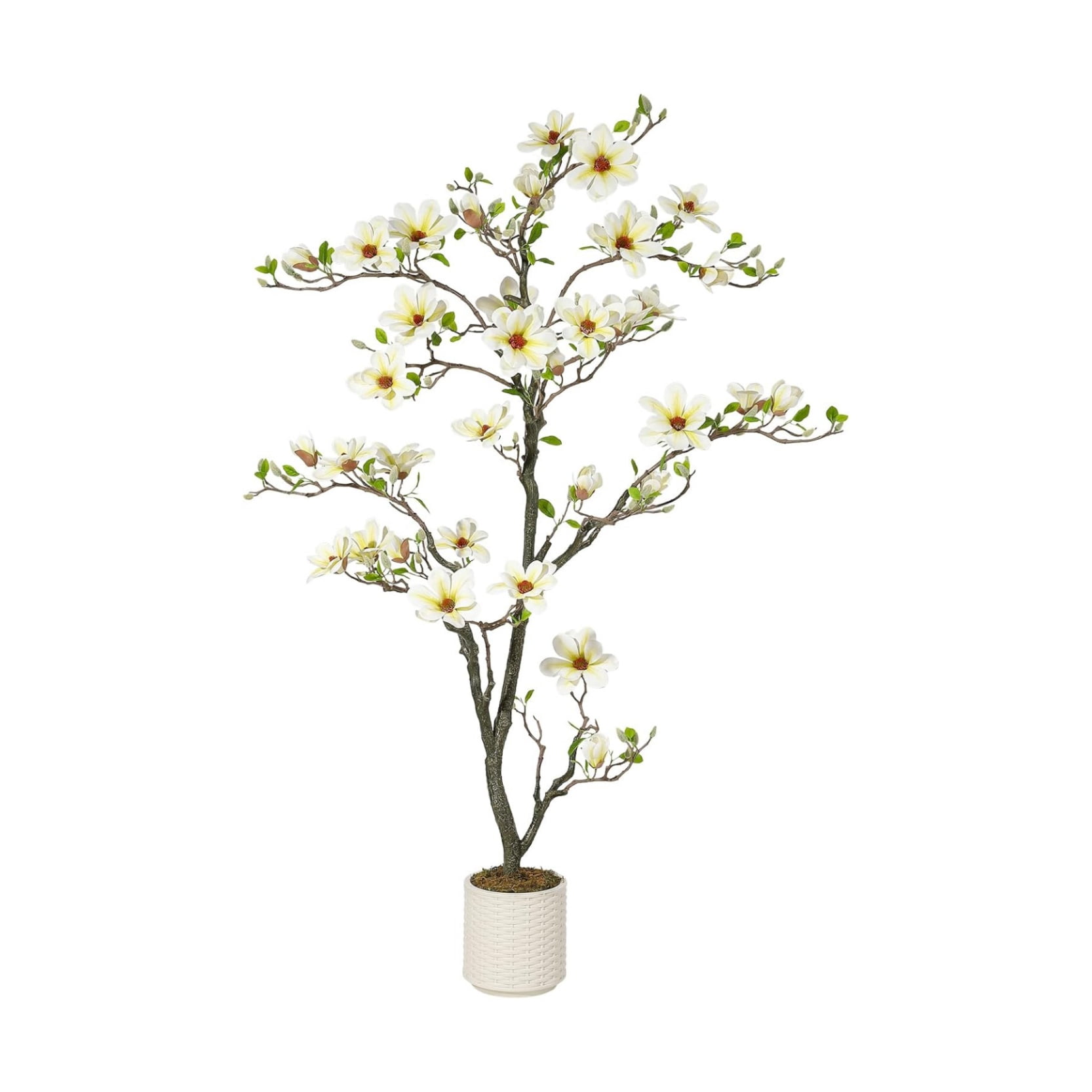 4/5/6 FT Faux Magnolia Plants Artificial Flower Trees Fake Plants for Yard Patio Home Office Arrangement Decor Indoor Outdoor Artificial Magnolia Tree Inc. 66 Realisc Flowers Vivid Leaves Mosses White