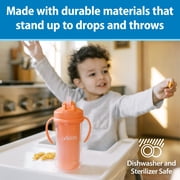 Dr. Brown's Milestones Insulated Sippy Cup with Straw and Handles, Pink, 10oz, 12m+, 2-Pack