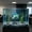 Blue, variant on Aquarium Decor, Glowing Artificial Fish, Luminous Lionfish for Tank, Submersible, Fluorescent, Silicone, Suction Cup Mount, Black Blue Red Purple, 4.13 Inch