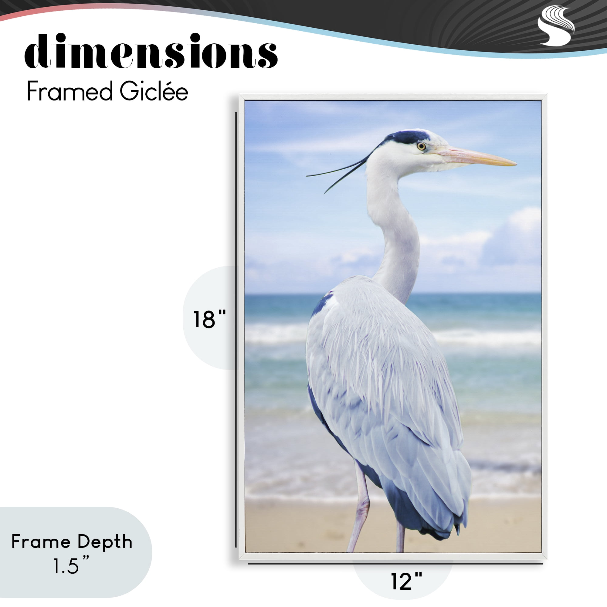 Stupell Industries Vacationing Heron by Seaside White Framed Giclee Art, design by Marcus Prime