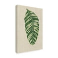 thumbnail image 2 of Trademark Fine Art 'Leaves on Linen VI' Canvas Art by Unknown, 2 of 4