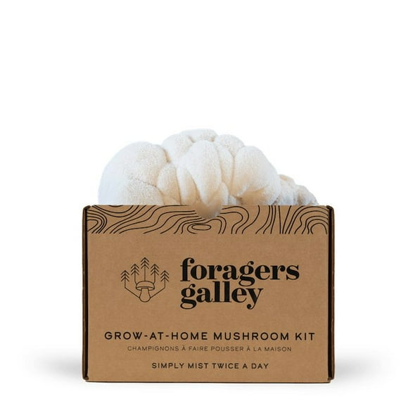 Lion's Mane Mushroom Growing Kit - 6lbs - Mushroom Grow Kit, Indoor Growing, Easy to Use, Grow Lions Mane at Home