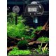 thumbnail image 2 of 1pc Aquatic fish tank high-precision in cylinder diving probe water temperature gauge reptile pet box suction cup electronic digital display thermomet, 2 of 5