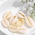 thumbnail image 4 of 100 Pcs de Coquille Naturelle Accessoires diy (11*17mm 100 Pcs), 4 of 10