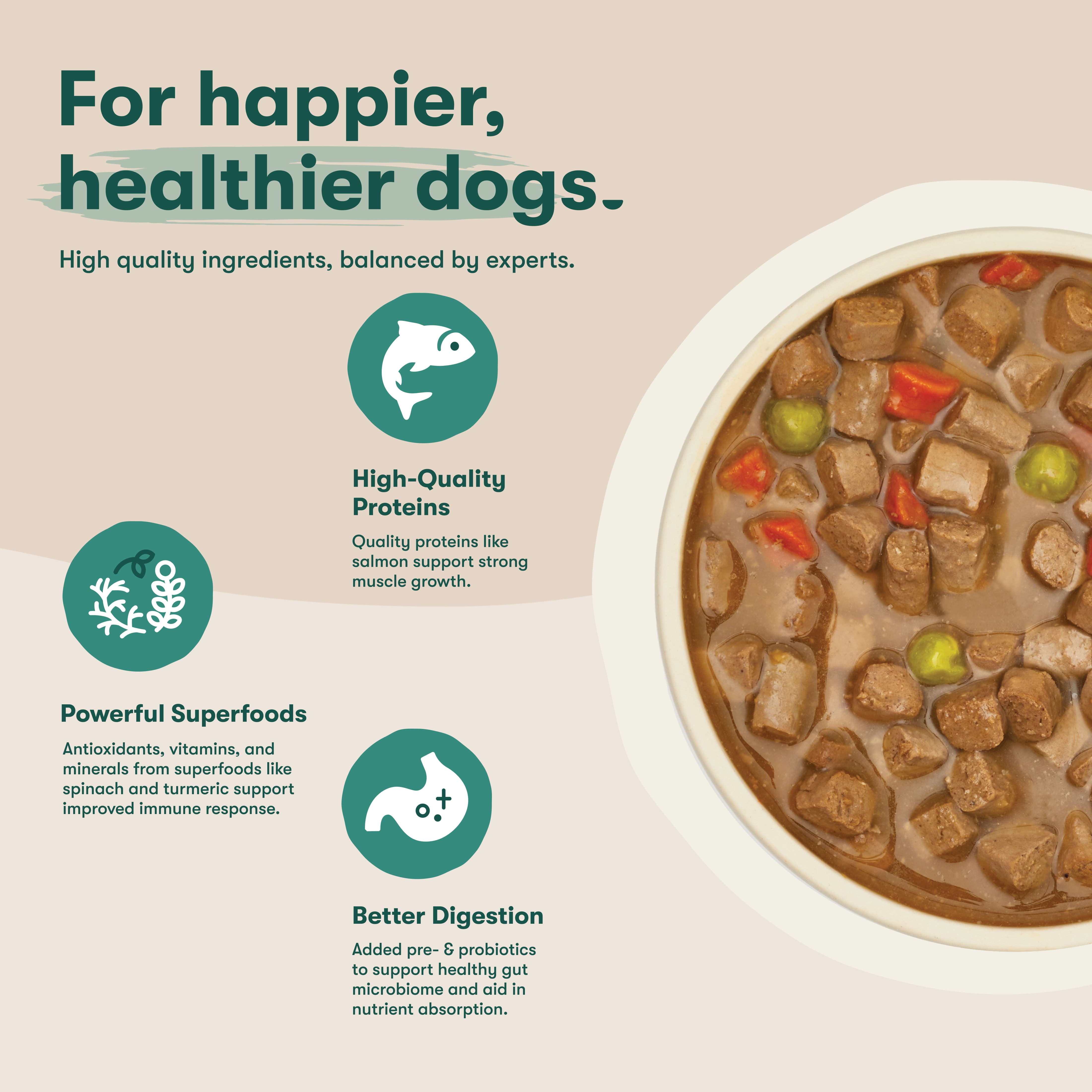 (12 pack) Jinx Bone Broth Stew Grain-Free Salmon & Vegetables Wet Dog Food, 13 oz Can
