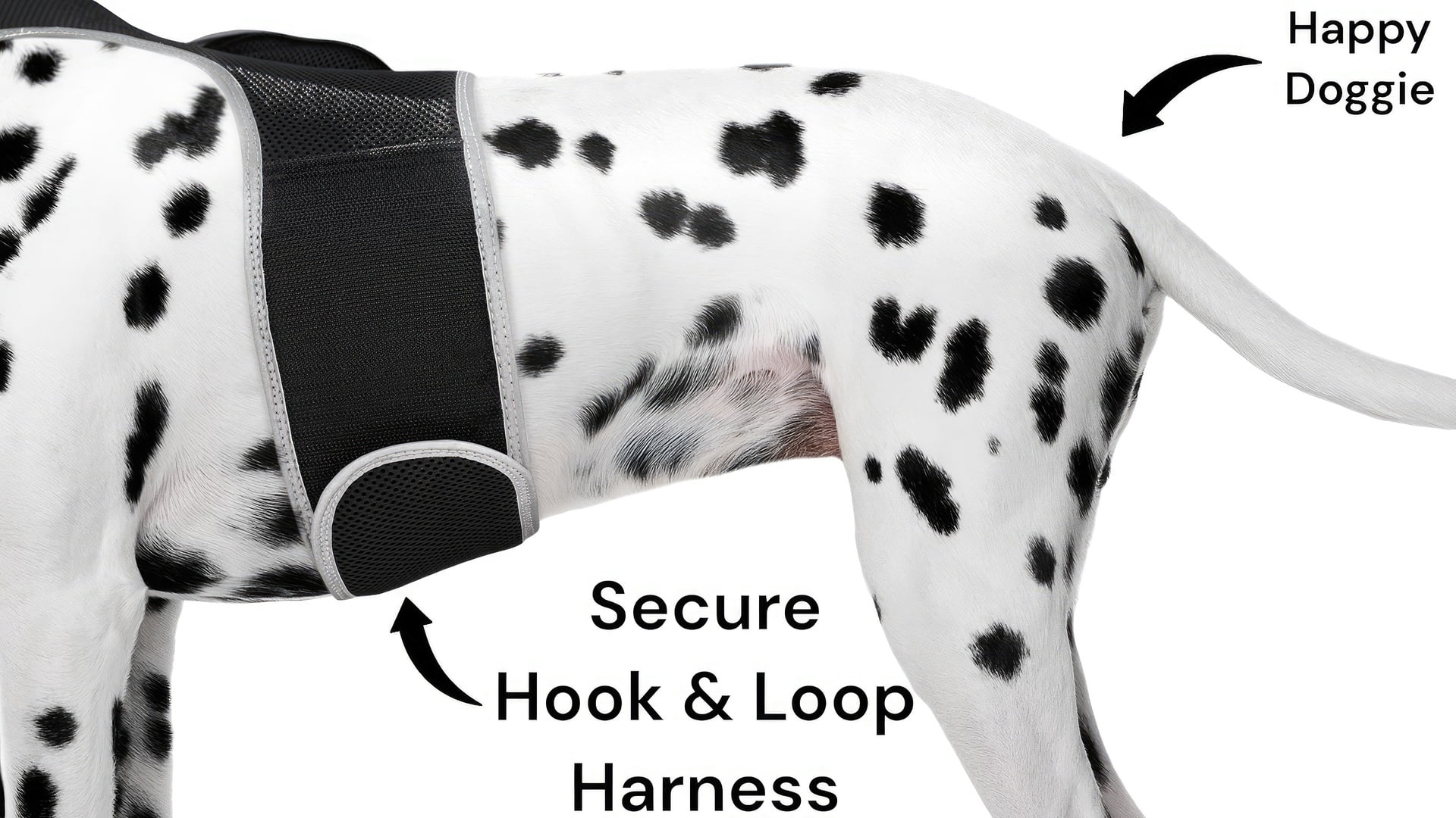 Android GPS Pet Tracker Realtime Tracking System Mini Dog Cat Locator Size:S