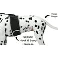 thumbnail image 2 of NEW Wireless Tracking GPS for Dog System Waterproof Pocket Pet Tracker Size:S, 2 of 5