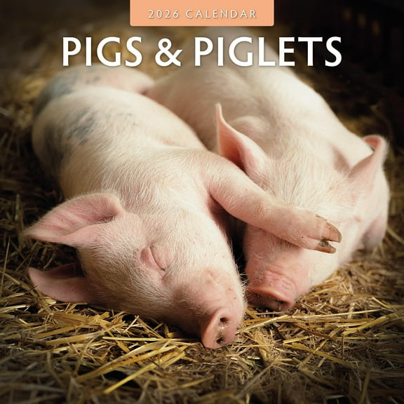 Red Robin 2026 Pigs & Piglets Monthly Wall Calendar | 12" x 24" Open | Premium Thick & Sturdy Paper | Hangable 12 Month Calendar | Lined Notes & To Do Area | Vivid Images | Plastic Free