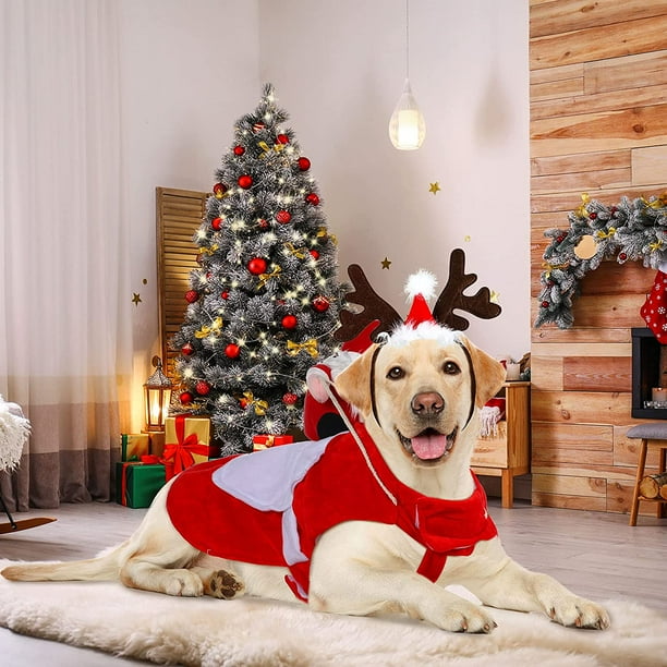 Dog hotsell christmas headband