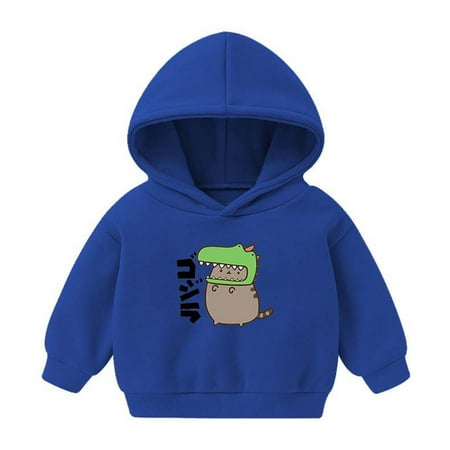 

TUOBARR Winter Kids Hoodies Boys Girls Hoody Children Dino Cartoon Pullover Outerwear Blue(2-6Years)