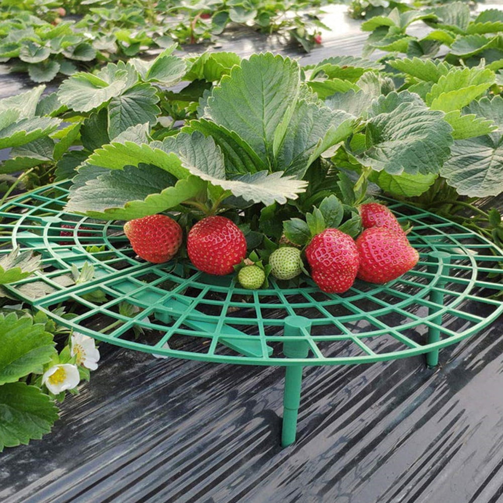 10PCS Strawberry Stand Frame Holder Balcony Planting Rack Fruit Support Pl H6A1 