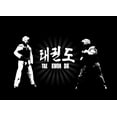 thumbnail image 2 of Taekwondo Wall Mural by Wallmonkeys Peel and Stick Graphic (18 in W x 10 in H) WM131589, 2 of 4