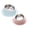 A,B, variant on Anti Vomiting 15° Tilted Elevated Dog Cat Bowl, Raised Stainless Steel Shallow Kitty Bowl with Non Spill Edge, Slow Feeder for Cat Food Water Bowls Indoor Outdoor Use, 8.66"