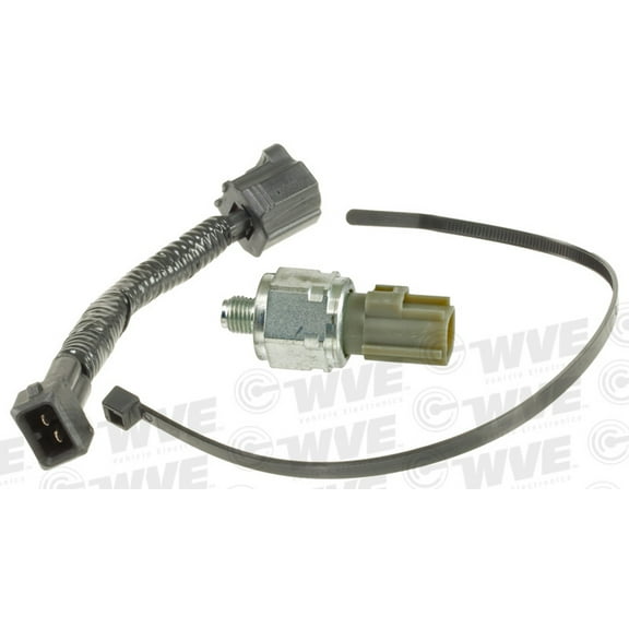 Cruise Control Release Switch