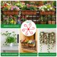 thumbnail image 5 of Clips de soporte para plantas trepadoras, marcos plegables ajustables con juego de 16 abrazaderas, varios tamaños para jardines y flores interiores, 5 of 7