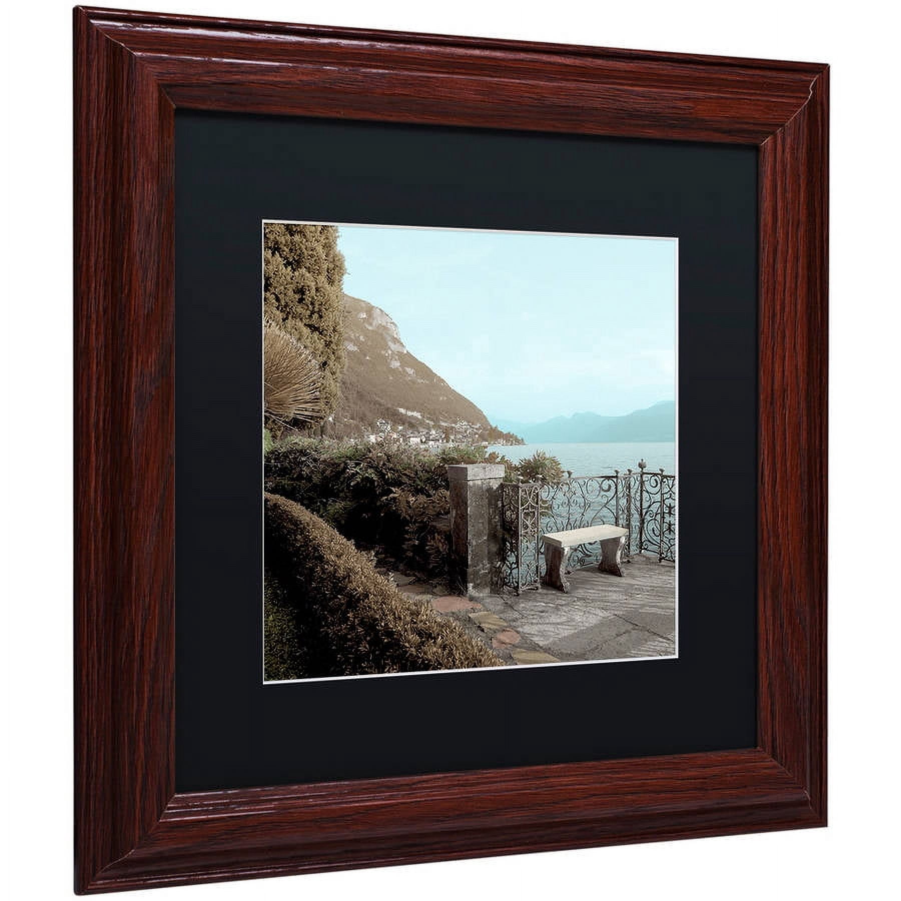 Trademark Fine Art "Lake Vista IV" Canvas Art by Alan Blaustein, Black Matte, Wood Frame