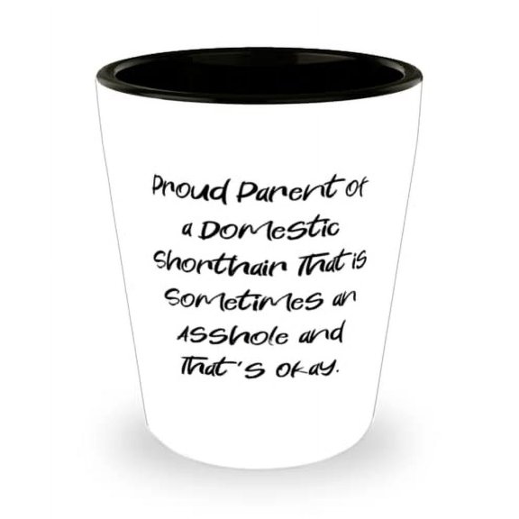 Cheap Domestic Shorthair Cat Shot Glass, Proud Parent of a Domestic Shorthair That is, Brilliant for Cat Lovers, Holiday