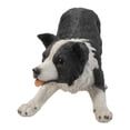 thumbnail image 3 of Hi-Line Gift BORDER COLLIE DOG STATUE-BLACK/WHITE, 3 of 3
