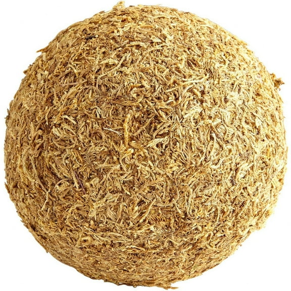 Cyan Design - Large St. Augustine Filler - 9 Inches Wide