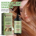 thumbnail image 2 of 1-3pcs New Rosemary Shampoo Rosemary Mint Shampoo Hair Protection Shampoo With Biotin For Cleanses And Helps Strengthen Brittle Hair, 2 of 5