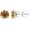 White Gold, variant on 1 Carat Total Weight Brown Diamond Solitaire Stud Earrings Pair 18K White Gold Popular Premium Collection 4 Prong Screw Back