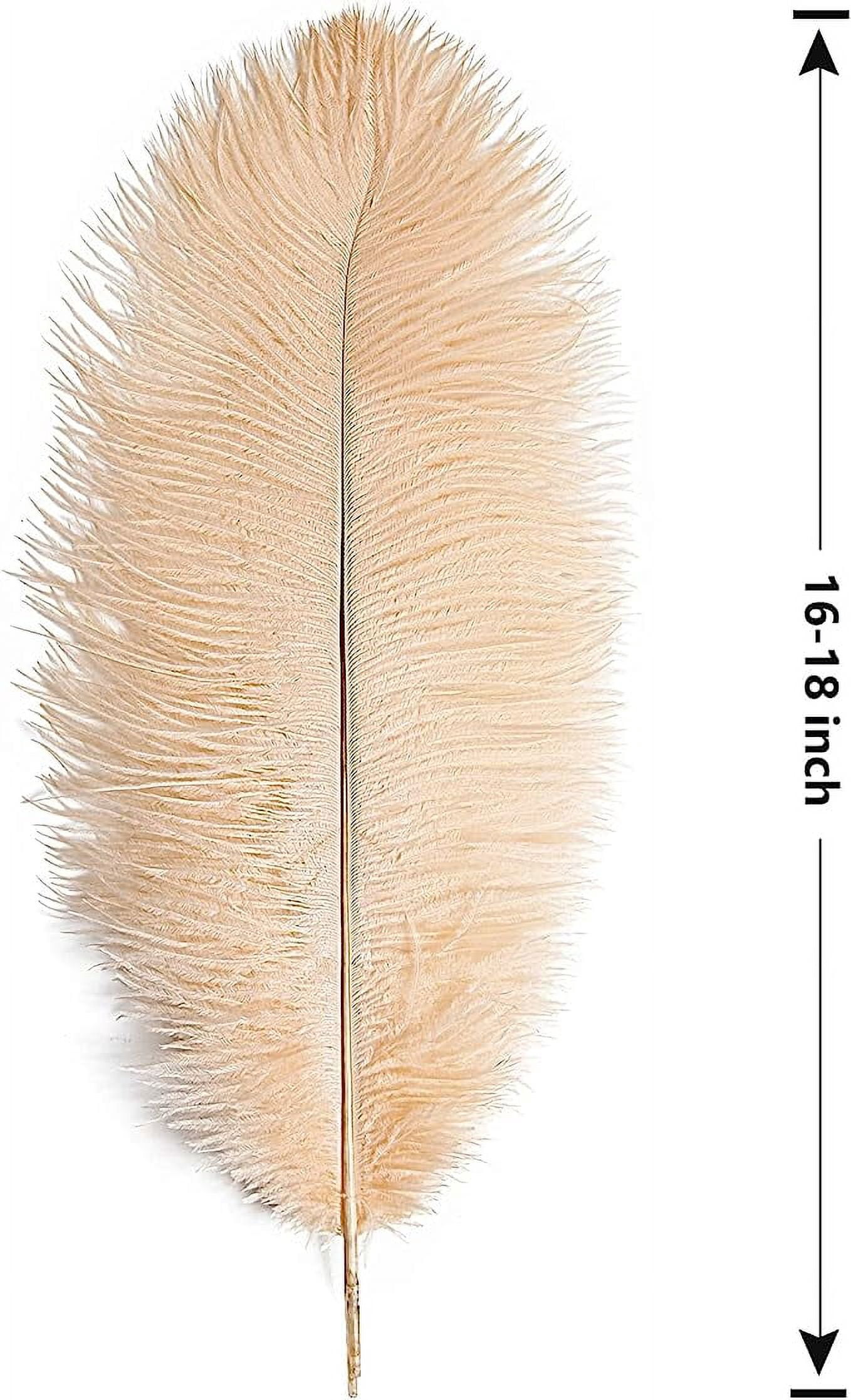 Namzi 12pcs Champagne Ostrich Feathers Natural Bulk 16-18Inch 40cm-45cm for Wedding Party Centerpieces Easter Gatsby and Home Decorate Ostrich Feathers