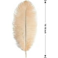 thumbnail image 2 of Namzi 12pcs Champagne Ostrich Feathers Natural Bulk 16-18Inch 40cm-45cm for Wedding Party Centerpieces Easter Gatsby and Home Decorate Ostrich Feathers, 2 of 2