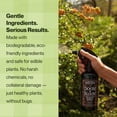 thumbnail image 3 of Dr. Killigan’s Doom & Bloom House Plant Pest Spray - for Outdoor Indoor Gardening, Kills Aphids, Spider Mites Thrips on Contact, with Adjustable Trigger Sprayer (16 oz), 3 of 3