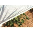thumbnail image 4 of DeWitt 12 ft. W X 10 ft. L Polypropylene Plant and Seed Guard, 4 of 4