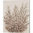 thumbnail image 3 of Great Art Now Rustic Wildflowers by Timothy O'Toole 2 Piece Canvas Art Set Each 12"W x 15"H, 3 of 3