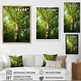 thumbnail image 4 of Designart "Lyrical Forest American Basswood Tree" Landscape Trees Floater Framed Canvas Art Print, 4 of 7