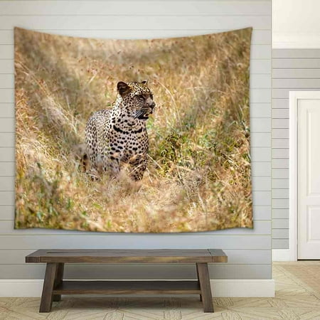 - wall26 - a Large Adult Leopard Looks Through the Tall Grasses of the Savanna in Search of His Next Meal - Fabric Wall Tapestry Home Decor - 68x80 inches