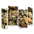 thumbnail image 2 of ArtWall Kevin Calkins "Petoskey Stone Collage" 4-Piece Gallery-Wrapped Canvas Staggered Set, 2 of 2