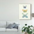 thumbnail image 3 of Trademark Fine Art 'Butterfly Charts IV' Canvas Art by Courtney Prahl, 3 of 4