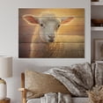 thumbnail image 2 of Designart "Pastel Sheep Portrait" Animals Print on Natural Pine Wood, 2 of 5
