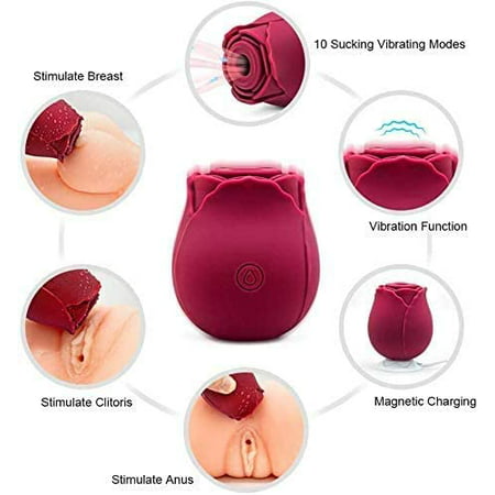 New Upgraded Women Rose Toys, Rechargeable Rose Flower Toy for Women(Pink  1） | Walmart Canada