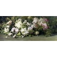thumbnail image 2 of Palmer, Adelaide Coburne 14x8 Gold Ornate Wood Framed with Double Matting Museum Art Print Titled - Mountain Laurel, 2 of 4