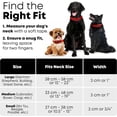 thumbnail image 2 of Heavy Duty Reflective Dog Collar \u Adjustable and with Durable Metal Buckle and Rings Odor chew Dog Collar for Small Medium and Large Dogs (Large Pink), 2 of 8