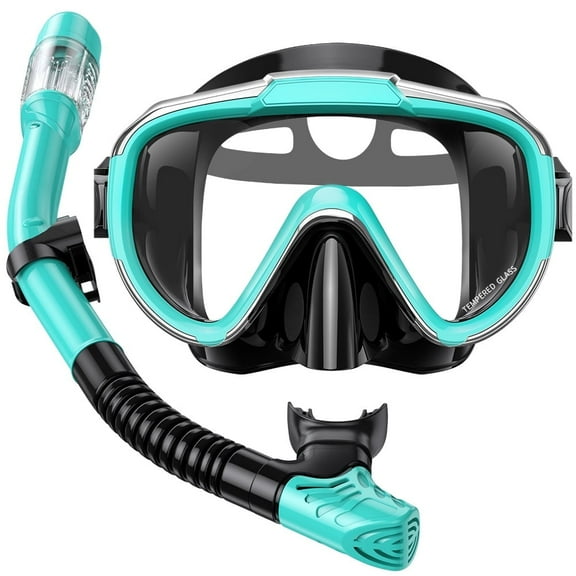 Gintenco Snorkel Set Adults Snorkeling Gear Anti-Fog Panoramic View Swim Mask Dry Top Snorkel Kit with Carry Bag for Snorkeling Scuba Diving Travel Green