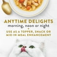 thumbnail image 3 of Fancy Feast Classic Broths with Chicken & Vegetables, Cat Treats 40 g, 3 of 8