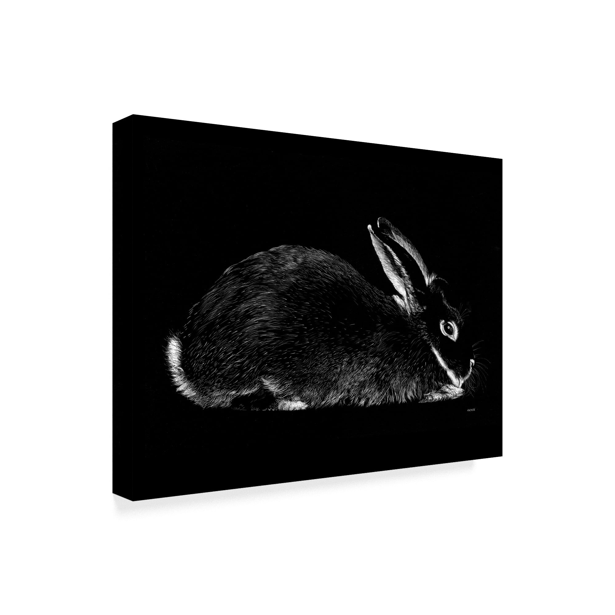 Trademark Fine Art 'Rabbit Portrait' Canvas Art by Geraldine Aikman