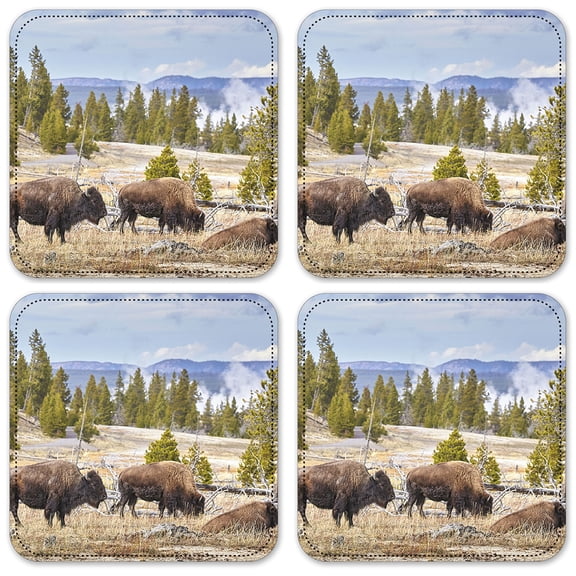 Vinyl Drink Coasters - Set of 4 - Buffalo Lounging
