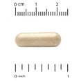 thumbnail image 2 of Jarrow Formulas Ashwagandha 300 mg, Supports Resistance to Fatigue, 120 Veggie Caps, 2 of 5