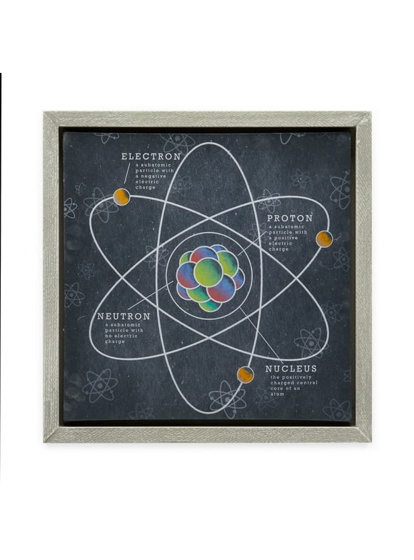 An-Atom-y of an Atom by Drew Barrymore Flower Kids