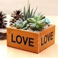 thumbnail image 4 of Cute Love Letter Printed Wooden Box Container Succulent Planting Pot Photo Prop, 4 of 9