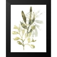 thumbnail image 2 of Vess, June Erica 15x18 Black Modern Framed Museum Art Print Titled - Lichen and Leaves IV, 2 of 5