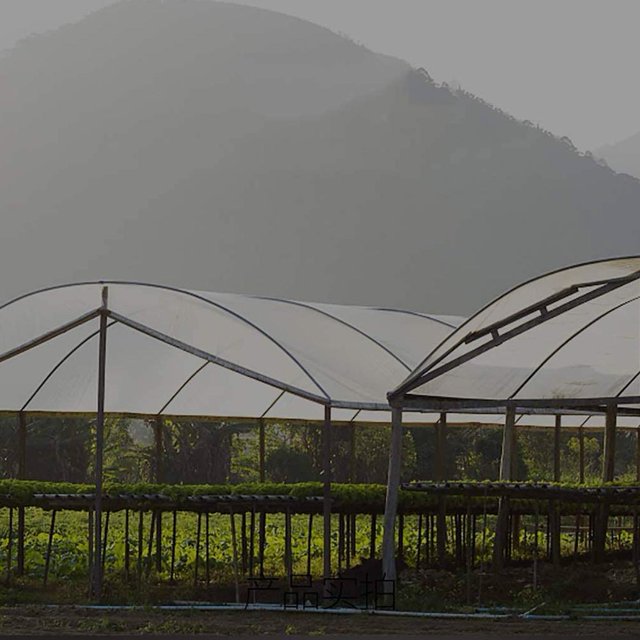 Lona Alquitranada Película de aislamiento impermeable transparente suculenta del toldo del jardín PE anticongelante